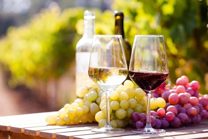 Wine Tasting Tour in Georgia's Cradle of Wine - Key Points
