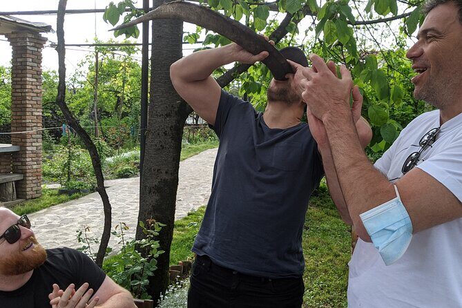 Wine Tasting Tour in Georgia's Cradle of Wine - Authentic Experiences and Lasting Impressions