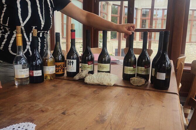Wine Tasting Tour in Tokaj Wine Region Slovakia. With transport - Key Points
