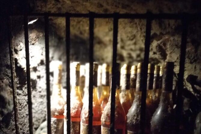Wine Tasting Tour in Tokaj Wine Region Slovakia. With transport - What Makes This Tour Stand Out?