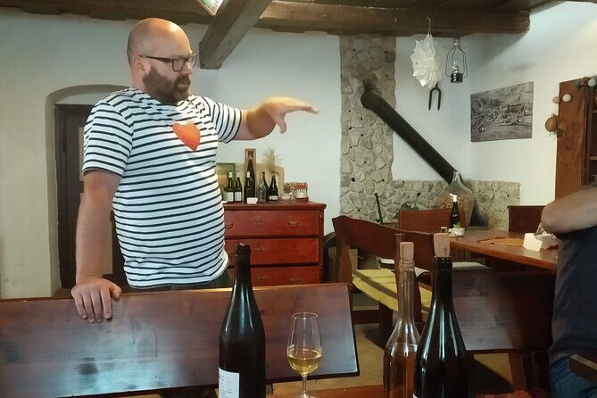 Wine Tasting Tour in Tokaj Wine Region Slovakia. With transport - A Closer Look at the Itinerary