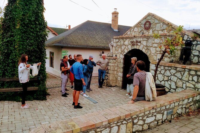 Wine Tasting Tour in Tokaj Wine Region Slovakia. With transport - Why the Price Offers Good Value