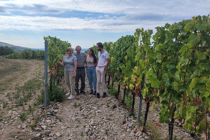 Wine Tasting Tour in Tokaj Wine Region Slovakia. With transport - Frequently Asked Questions