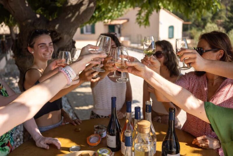 Wine tasting tour - Le Pradet - Exploring the Wine Tasting Tour in Le Pradet: A Genuine Taste of Organic Provence