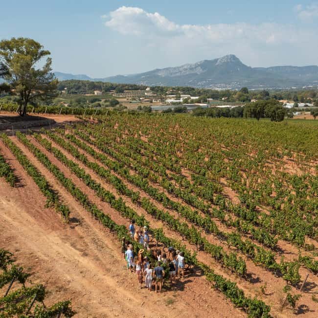 Wine tasting tour - Le Pradet - Why This Tour Stands Out