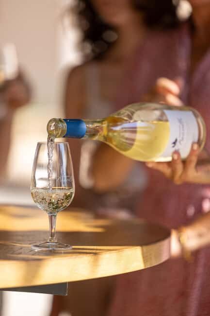 Wine tasting tour - Le Pradet - Final Thoughts: Is It Worth It?