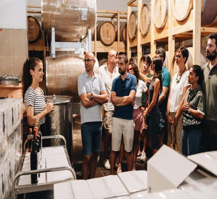 Wine tasting tour, Optional wine yard tour and kayak rides - Final Thoughts: Who Is This Tour Best For?