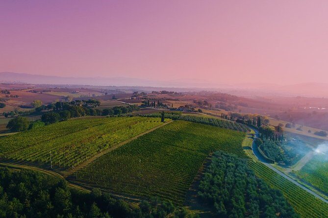 Wine Tasting & Tour Premium - Key Points