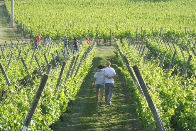 Wine Tasting & Tour Premium - Who Should Consider This Tour?