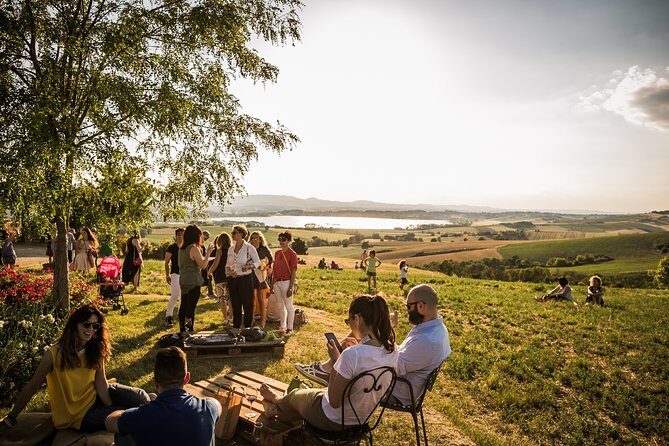Wine Tasting & Tour Premium - The Sum Up