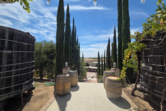 Wine tasting Tour to Temecula from San Diego (Private) - Transportation and Practicalities