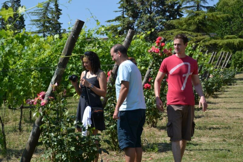 Wine tasting tour with olive oil and salami - A Closer Look at the Experience