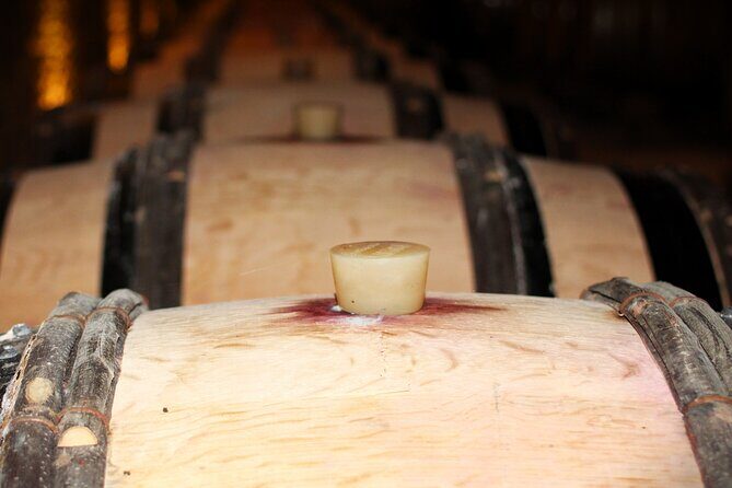 "Wine tasting tours in Burgundy" - Discovering Burgundy: A Deep Dive into the Tour