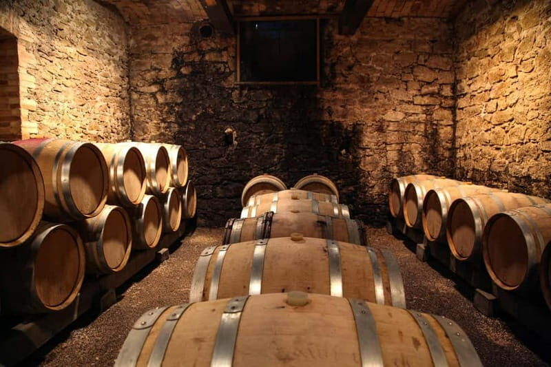 Wine Tasting & Vineyards Escape near Tirana - An In-Depth Look at the Wine Tasting & Vineyards Experience