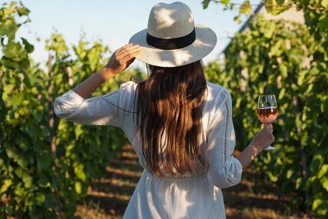 Wine Tasting & Vineyards Escape near Tirana - Wine Tasting & Vineyards Escape near Tirana