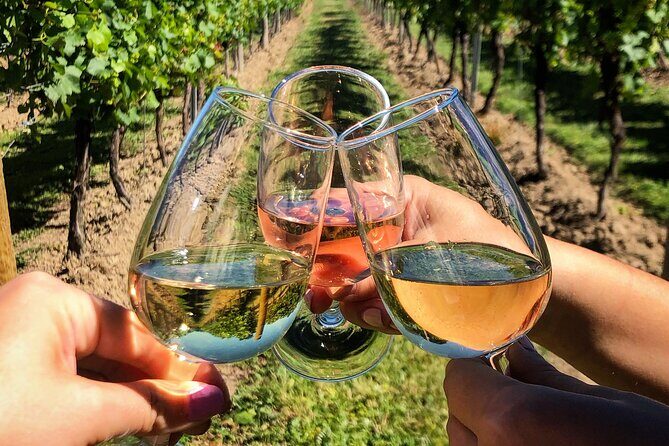 Wine Tasting & Vineyards Escape near Tirana - Detailed Breakdown of the Itinerary
