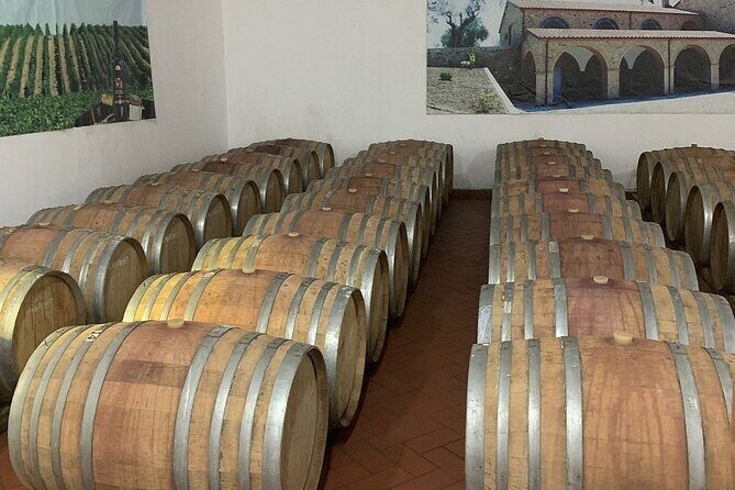 Wine Tasting & Vineyards Escape near Tirana - Practical Considerations and Value