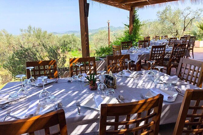 Wine Tasting & Vineyards Escape near Tirana - The Sum Up