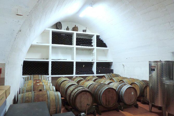 Wine Tasting & Winery Tours - What Travelers Say: Authentic Perspectives