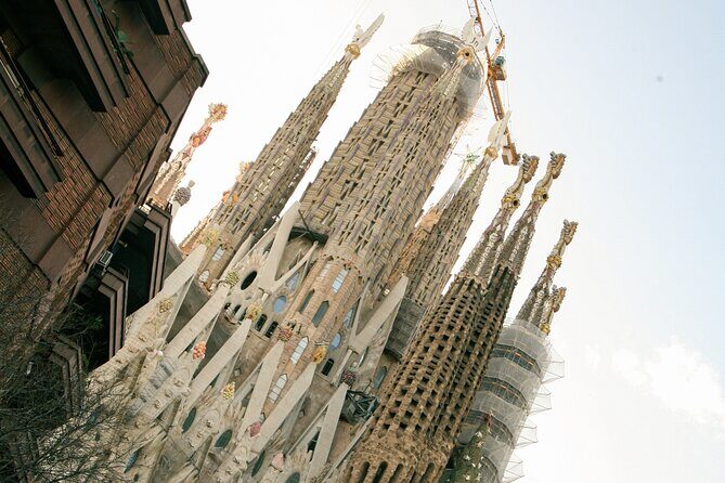 Wine tasting with a view of the Sagrada Familia - Who Should Book This Tour?