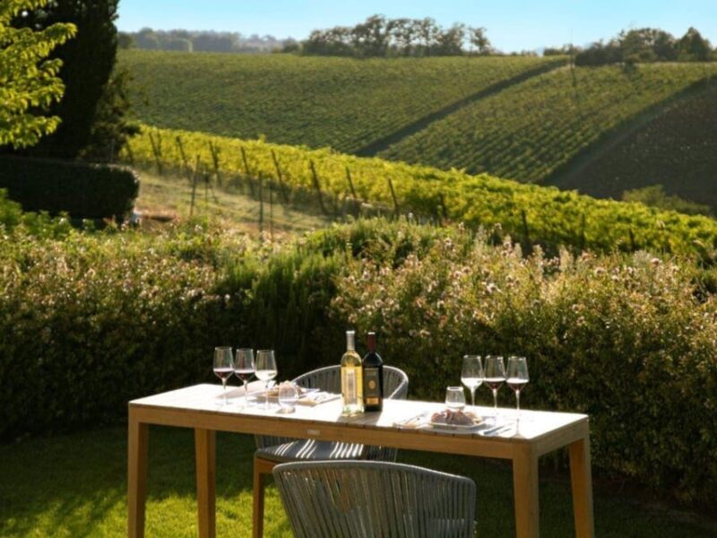 Wine Tasting with Food Pairing near Bologna - Discovering the Charm of the Emilia-Romagna Wine Tasting