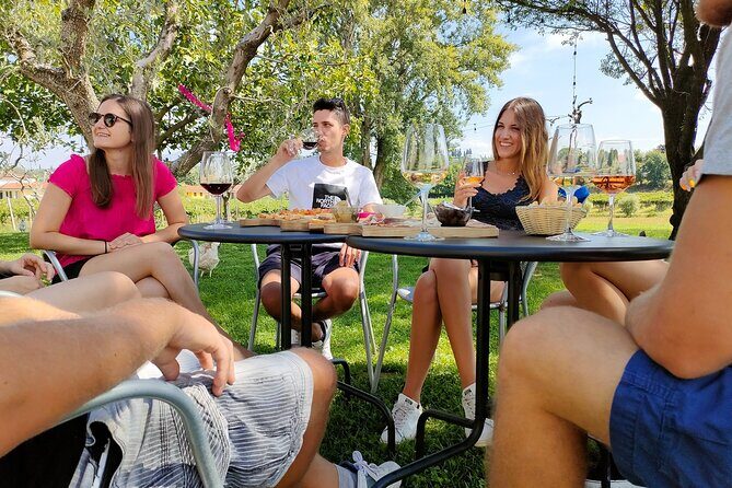 Wine Tasting with Local Food in Lazise Countryside - Wine Tasting with Local Food in Lazise Countryside: A Genuine Taste of Italy’s Heart