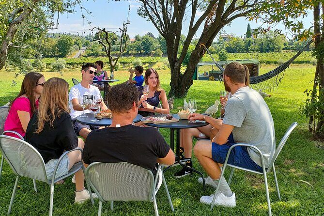 Wine Tasting with Local Food in Lazise Countryside - Key Points