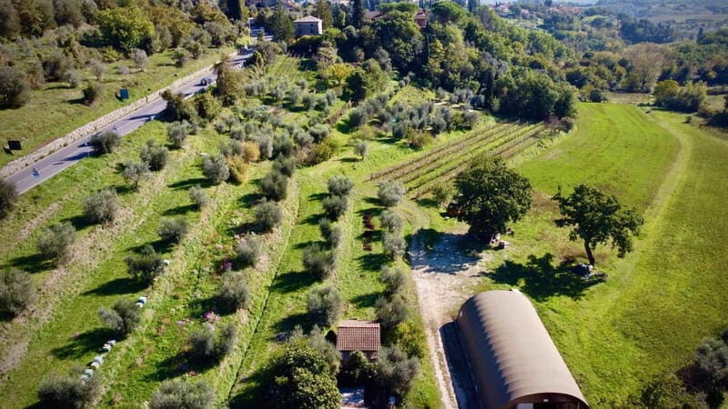 Wine Tasting with Local Food near Montepulciano - Final Thoughts: Is It Worth It?