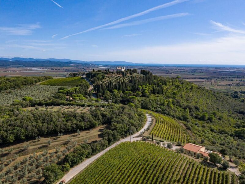 Wine Tasting with Local Food Pairing near Livorno - A Taste of Tuscany: Wine Tasting and Local Food Near Livorno