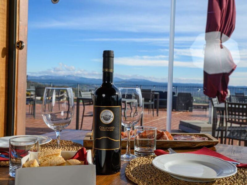 Wine Tasting with Local Food Pairing near Livorno - Key Points