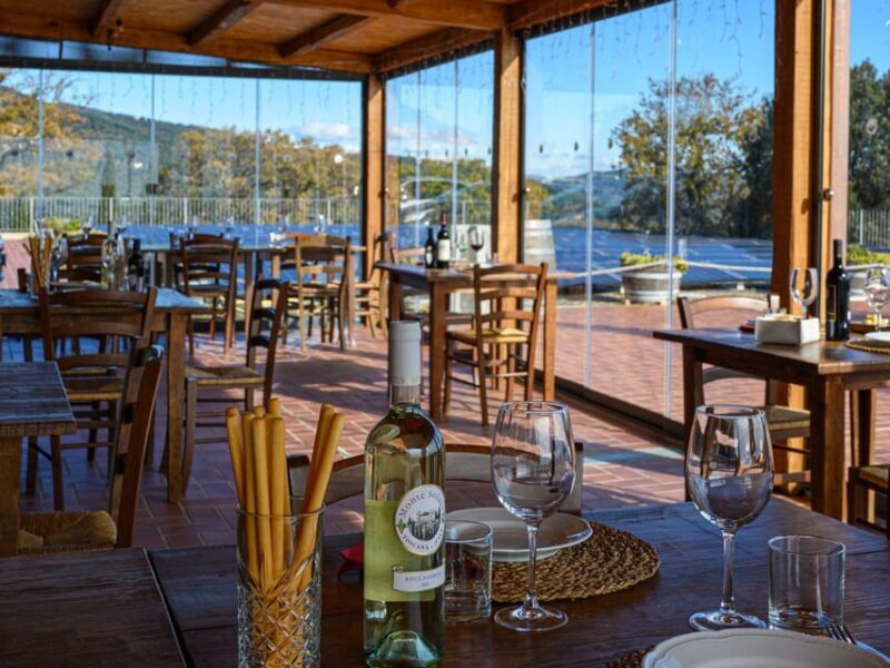 Wine Tasting with Local Food Pairing near Livorno - Practical Considerations