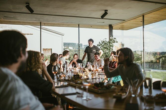 Wine Tasting with Pairing Snacks in Vipava Valley - Key Points