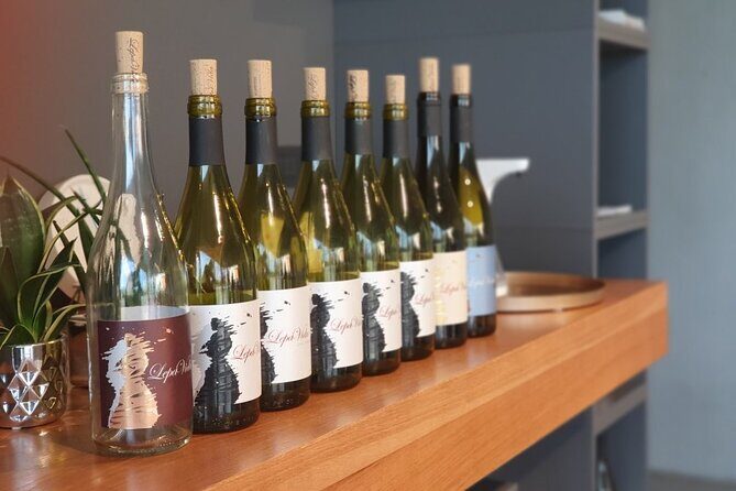 Wine Tasting with Pairing Snacks in Vipava Valley - Setting the Scene: The Lepa Vida Winery and Vipava Valley