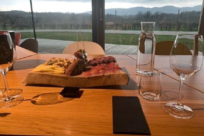 Wine Tasting with Pairing Snacks in Vipava Valley - The Overall Experience