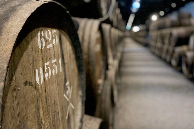 Wine Tasting with Tapas Walking Tour in Porto - Key Points