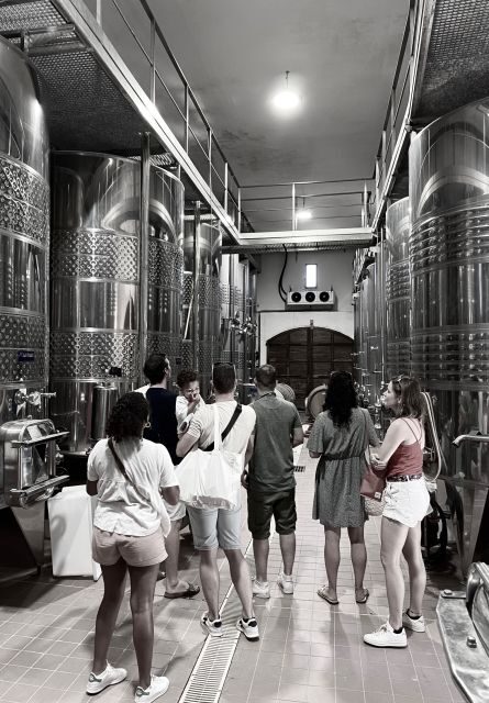 Wine tastings around Calvi & Île-Rousse - Key Points