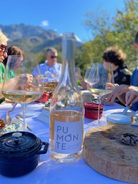 Wine tastings around Calvi & Île-Rousse - Final Thoughts