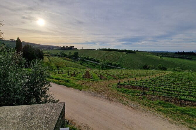 Wine Tour 6 hours 2 top wineries of Chianti Classico Limo Service - An In-Depth Look at the Chianti Wine Tour