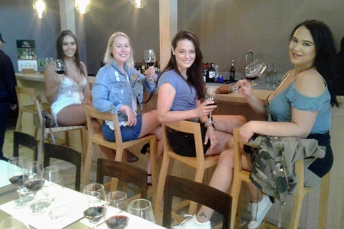 Wine Tour and Santiago City in a Small Group - Practical Value and Considerations