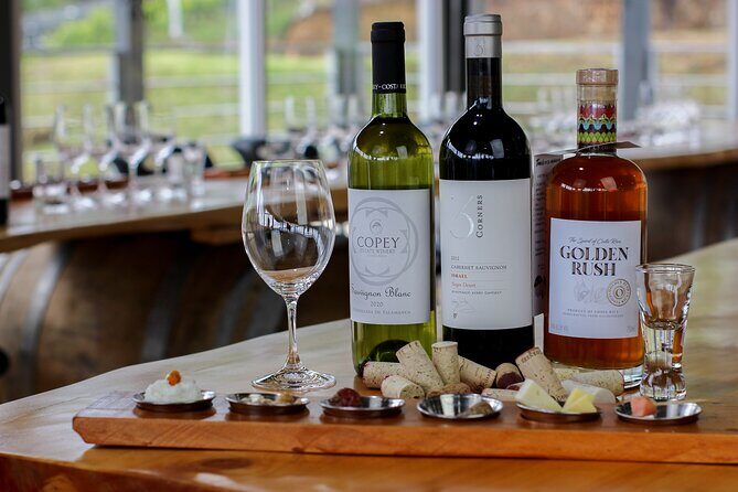 Wine Tour and Tasting - Final Thoughts: Who Will Get the Most Out of This Experience?