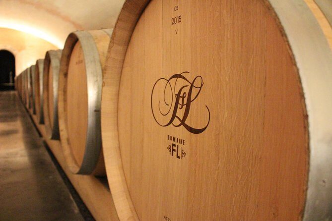 Wine tour and tasting at domain FL - A Deep Dive into the Domaine FL Experience