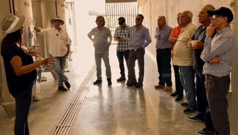 Wine tour and tasting at Vinícola Tierra de Luz - Key Points