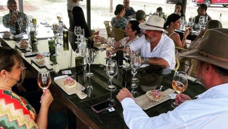 Wine tour and tasting at Vinícola Tierra de Luz - Who Will Love This Tour?