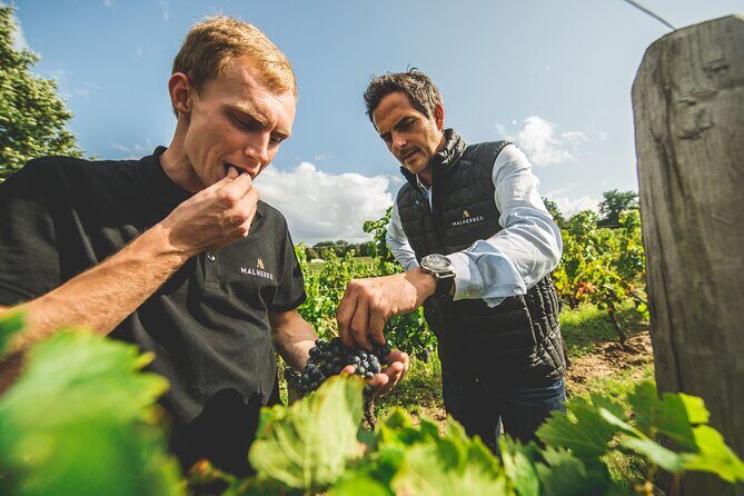 Wine tour and tasting Chateau de Malherbes - A Closer Look at the Château de Malherbes Wine Tour