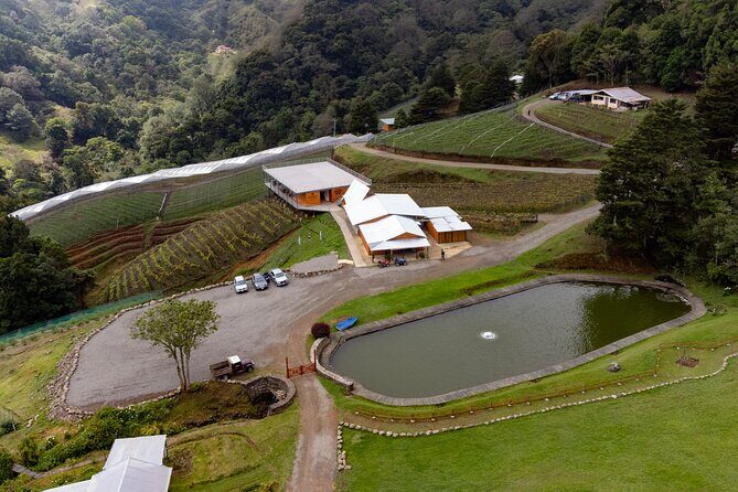 Wine Tour and Tasting - Exploring Costa Rica’s Unique Wine and Golden Berry Experience