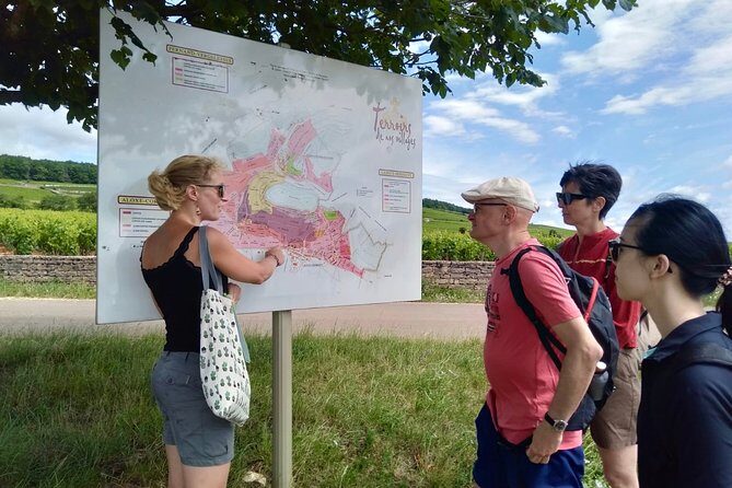 Wine tour and tasting in Burgundy - Who Will Love This Experience?