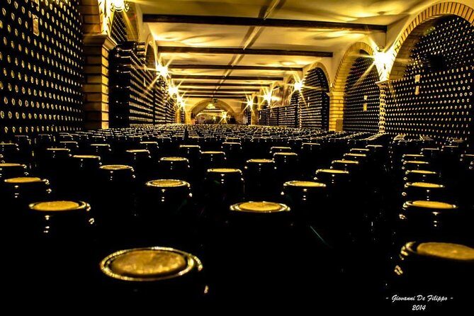 Wine tour and Tasting in Nocciano - Exploring the Heart of Abruzzo’s Winemaking in Nocciano