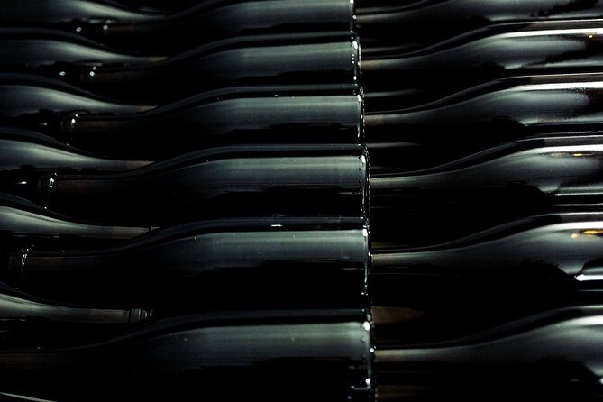 Wine tour and Tasting in Nocciano - Authenticity, Education, and Flavors—Who Will Love This Tour?