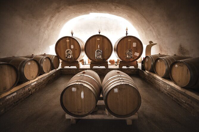 Wine Tour and tasting in the Monferrato - Premium - The Full Experience: What to Expect from the Tour