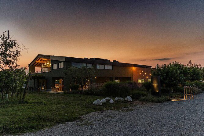 Wine Tour and Tasting of Lugana Wines in Desenzano - A Closer Look at What to Expect
